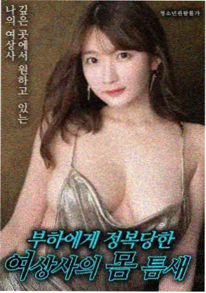 甜蜜的惩罚 海报